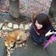 Illustration for article titled You Can Experience Fox Heaven in Japan